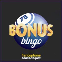 casino-sans-depot-francophone-bonus-bingo
